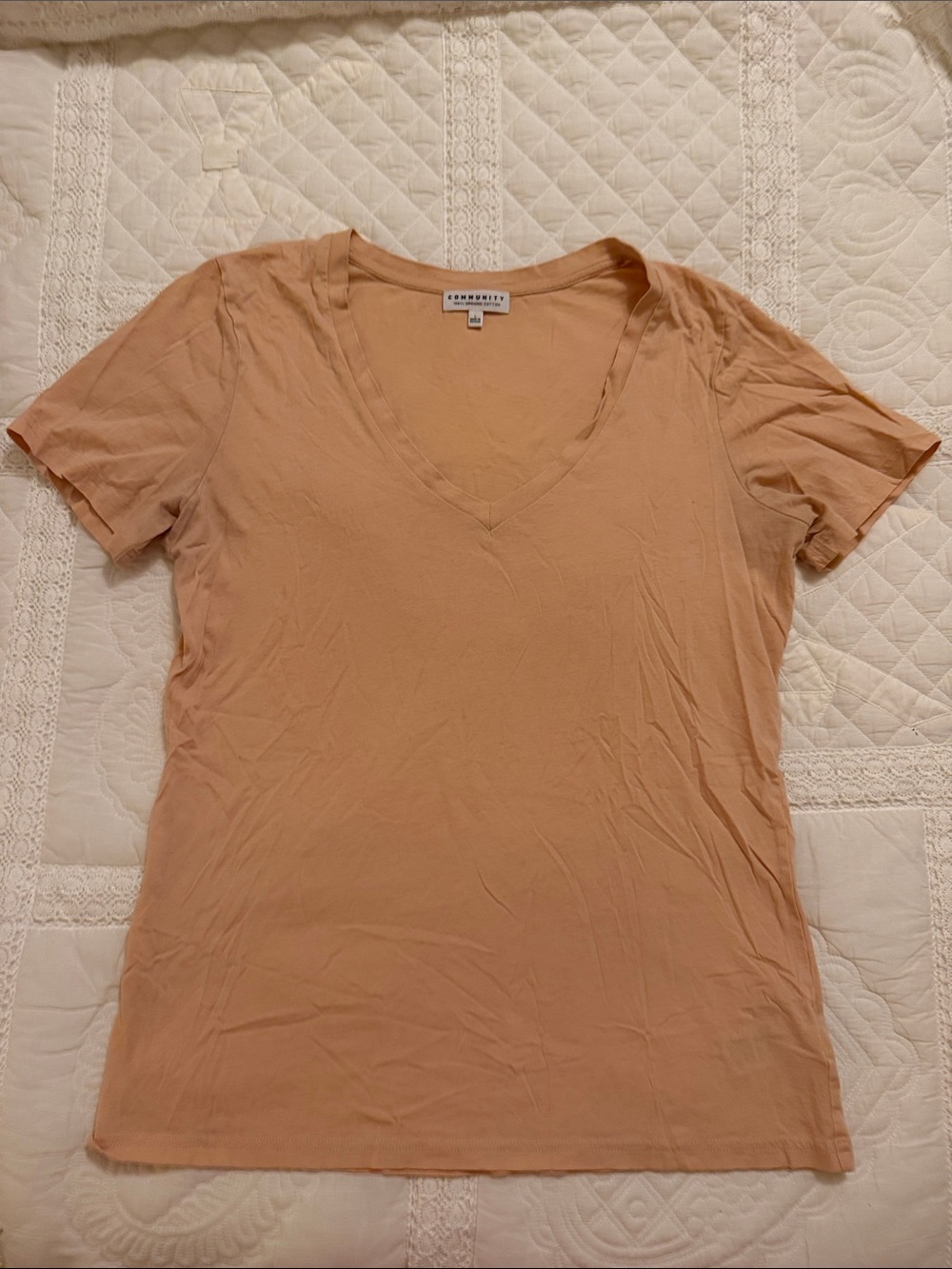 Community (Aritzia) T-shirt